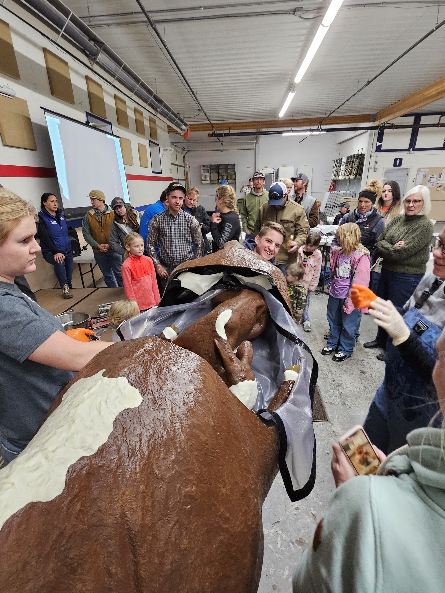 Youth practicing their newly acquired calving techniques